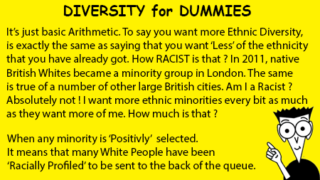 Diversity for Dummies