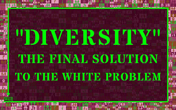 Diversity Final Solution